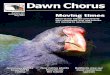Dawn Chorus - Tiritiri Matangi Island chorus/DC109.pdf · sent the following message of appreciation: ‘Thank you for the free tickets for Tiritiri’s Tartan Taonga Concert. My