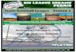 Youth Baseball League - Season 1 · Youth Baseball League - Season 1 Wednesday, February 5, 2020 10U-14U Divisions Available USSSA Registration #, Team Insurance, BLD Team Waiver