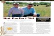 Not Perfect Yet - Angus Journal CC2E Marrs 10_09 aj.pdf · the Marrs cattle, but that’s to be expected with such a forage-oriented herd selected for deep body capacity, Dan says