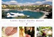 An Isle of Pure Romance - Loews Hotels · WANTILAN PAVILION The Wantilan Pavilion is the hotel’s signature event space. Surrounded by exotic foliage and bamboo, this covered, outdoor