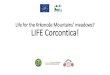 Life for the Krkonoše Mountains’ meadows? LIFE Corcontica! · Coordinating Beneficiary: Krkonoše Mountains National Park Administration Associated Beneficiaries: DAPHNE ČR –