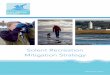 Solent Recreation Mitigation Strategy - Bird Aware Solent · duly met. With a public-facing brand - Bird Aware – the SRMP has achieved unprecedented success in engaging with the