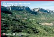 en La Serra de Montsant Natural Park - Ebro River Rentalsebroriverrentals.com/pdf/Monstant.pdf · 2016. 1. 28. · The Montsant mountain range is one of the most unusual areas in