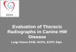 Evaluation of Thoracic Radiographs in Canine HW Disease · 2017. 10. 9. · the late stage of the disease and when parenchymal and arterial diseases are present only Radiographic