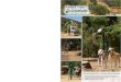 Fitness Trails - Greenfields Outdoor Fitness · nature and fitness into an amenity for the whole community to enjoy. transforming trails Fitness Trails by • Strength training machines