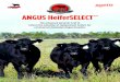 ANGUS HeiferSELECT€¦ · Order DNA Collector Kits: a) Hair samples from Angus Australia or b) TSU samples from Zoetis or your local agricultural merchandise store Collect DNA samples