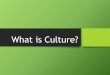 What is Culture? · Time Capsule Project: Students will be expected to form groups of 3-5 and create a time capsule that they believe represents Canadian culture. This capsule should