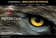 The Cell Cycle - AP Biology · The cell cycle is driven by specific signaling molecules present in the cytoplasm Some evidence for this hypothesis comes from experiments with cultured