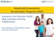 Medicaid Innovation Accelerator Program (IAP) ... Organized Delivery system • Present the continuum of services under the Waiver and the waiver flexibilities • Recap the Lessons