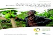 Mechanisms for agricultural climate change mitigation ... · IFAD – International Fund for Agricultural Development IFC – International Finance Corporation IFM – Improved Forest