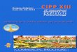 Bruges, Belgium June 26- 29, 2014 International · The 1st CIPP organized in Nice in 1994 at the initiative of Professors Alain Grimfeld (France) and Jean-Paul Praud (Canada QC) was