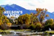 NELSON’S ANEW - Myers Reece · 2019. 11. 14. · by myers reece photos by greg lindstrom NELSON’S ANEW. I n the roiling waters of my childhood memories, Nelson’s Spring Creek