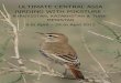 ULTIMATE CENTRAL ASIA BIRDING WITH MIKSTURE 2013 - Turkmenistan, Kazakhstan an… · TUKAKI 2013 – Birding Kyrgyzstan, Kazakhstan and Turkmenistan in Central Asia provides some