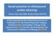 Good practice in Ultrasound probe cleaning · ultrasound procedures is possible. There is a wide range of ultrasound probe decontamination practices in Europe. Not all practitioners