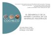 EL DESARROLLO DE LA MINER ÍA CHILENA DE LOS ......2016/04/07  · EL DESARROLLO DE LA MINER ÍA CHILENA DE LOS MINERALES INDUSTRIALES Vicente P érez Vidal Dirección de Estudios