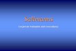 Sallmanns · Corporate Valuation and Consultancy. Sallmanns Group Founded in 1988, Sallmanns is one of Asia’s foremost independent asset valuers, covering ... • Industrial Valuation