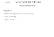 Sergei Nekhai, Ph.D. Objectives...Sergei Nekhai, Ph.D. Objectives: •Functional organization of viral particles • Viral Symmetry • Viral Capsids Structure of Viruses • Size