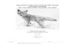 RECOVERY STRATEGY FOR ISLAND FOXES Urocyon littoralis ON ... · Islands. Three of the subspecies occur on the northern Channel Islands, within the boundaries of Channel Islands National