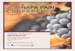 CONFERENCE · 26th Napa Pain Conference August 15-18, 2019 Napa, California 2018 was another record-setting year with over 400 attendees. The Napa Pain Conference has cultivated connections
