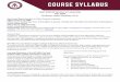 MGT 6345-01 Seminar in Leadership Fall, 2020 Professor ... · statements, disclaimers, policies, and procedures outlined within this syllabus and elsewhere in the WTClass environment