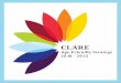 CLARE · County Clare is situated in the Mid-West Region in the province of Munster. It is bordered on the west by the Atlantic Ocean and on the east by Lough Derg. The county is