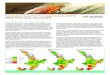 New Zealand Seasonal Fire Danger Outlook 2018/19 ISSUE: North … · Current fire danger situation & outlook: On average, High to Very High fire dangers and fire climate severity