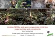 Linking REDD+ and ape conservation in Africa ......Linking REDD+ and ape conservation in Africa: opportunities and constraints ... Opportunities for REDD+ in Africa ... Major constraints