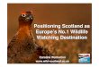 Positioning Scotland as Europe’s No.1 Wildlife Watching ... · Competitive Positioning 88% 75% 73% 73% 69% 67% 65% 52% 50% 38% 37% 21% 93% 91% 89% 89% Those interested in nature