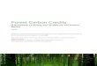 Forest Carbon Credits - bu. accelerate the use of carbon credits for forest conservation. The guide