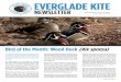 EVERGLADE KITE€¦ · 07/07/2020  · NEWSLETTER Monthly Newsletter for Audubon Everglades VOL 60 | Issue 10 | July 2020 The 2020 Bird of the Month series will continue to focus