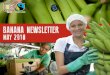 BANANA NEWSLETTER - CLAC Comercio Justoclac-comerciojusto.org/wp-content/uploads/2018/05/...incorporating highly productive varieties and developing a fertility program with the same