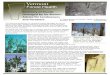 Vermont · following the 1998 ice storm, including ten-year crown dieback data from the Vermont Hardwood Tree Health Survey and 15 years of US Forest Service research. Ice storms