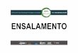 ENSALAMENTO - Universidade Estadual de Maringá...Viabilidade do surfactante polissorbato 80 na diluição de óleos essenciais vegetais para tratamento de sementes de hortaliças