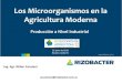 Presentación de PowerPoint - Bioeconomía Argentina...2014/12/04  · 1.Beneficios de Ios Biofertilizantes Pseudomonas Testigo fluorescens RIZOBACTER 320 kg N 4000 kg/ha de Soja Þ8