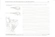 Anpassungen des Buntspechts an das Baumleben Zl · 2012. 10. 3. · Anpassungen des Buntspechts an das Baumleben 1. Benenne und beschreibe die Anpassungen des Buntspechts unter den