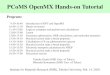 PCoMS OpenMX Hands-on Tutorial - 東京大学 · PCoMS OpenMX Hands-on Tutorial 9:30-10:40 Introduction of DFT and OpenMX 10:40-11:10 Hands-on lecture 11:10-12:00 Login to computer