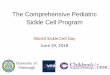 The Comprehensive Pediatric Sickle Cell Program...•Winter 2016 • Cheryl Hillery, MD •Summer 2015 • Amma Owusu-Ansah, MD •Summer 2016 • Ram Kalpatthi, MD •Spring 2018
