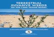 TERRESTRIAL INVASIVE WEEDS€¦ · 2 3 WHAT ARE NON-NATIVE INVASIVE WEEDS For the purpose of this booklet, a non-native invasive weed is a plant growing outside of its natural range