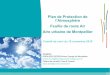 Plan de Protection de l’Atmosphère Feuille de route Air Aire urbaine … · 2018. 12. 12. · Plan de Protection de l’Atmosphère Feuille de route Air Aire urbaine de Montpellier
