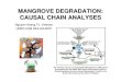 MANGROVE DEGRADATION: CAUSAL CHAIN ANALYSESunepscs.org/Mangrove-Training/09-Mangrove-Degradation... · 2007. 12. 9. · MANGROVE DEGRADATION: CAUSAL CHAIN ANALYSES Nguyen Hoang Tri,
