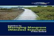 Guidelines for Managing Mangrove (Mānawa) Expansiondocs.niwa.co.nz/library/public/NIWAis85.pdf · Healthy mangrove stand in Waikareao Estuary, Tauranga Harbour. Until recently little