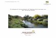Ecological Assessments of Spring-fed streams on the Wairau ... · although Sadds was an exception with only two fish species recorded. No fish were found in Riverlands Industrial
