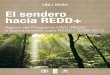 El sendero hacia REDD+€¦ · EL SENDERO HACIA REDD+: Programa ONU-REDD 2008-2013 03 LISTADO DE RECUADROS >> Ejemplo del enfoque de Unidos en la Acción en los planos mundial y locales
