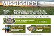 MISSISSIPPI - Crop Insurance In My State€¦ · $81.3 million in liability protection on growing crops in Mississippi. Crop Insurance Is Vital to Mississippi’s Agricultural Sector