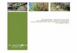 NORMAS TÉCNICAS DE ELABORAÇÃO DOS PLANOS ESPECÍFICOS DE … · 2014. 4. 23. · normas tÉcnicas | elaboraÇÃo dos planos especÍficos de intervenÇÃo florestal 2 Índice i