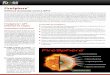 FireSphere - bemonitor.com.mx · la taxonomía completa del comporta-miento del malware avanzado que me-jora la resistencia ante futuras evasiones maliciosas. ... La única solución