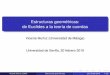 Estructuras geométricas: de Euclides a la teoría de cuerdasagt.cie.uma.es/~vicente.munoz/charla-Sevilla-2019.pdf · Trigonometría plana Existencia de homotecias (incluso gigantescas)