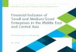 Financial Inclusion of Small and Medium-Sized Enterprises in ...enterprise.press/wp-content/uploads/2019/02/FISFMECAEA.pdfThe importance of financial inclusion is increasingly recognized
