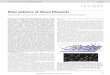 Polar patterns of driven filaments - TUMbio.ph.tum.de/uploads/media/nature_Polar_Patterns_Schaller_2010.pdf · Polar patterns of driven filaments Volker Schaller1, Christoph Weber2,