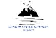 SENIOR CYCLE OPTIONScolaistenasceilge.ie/wp-content/uploads/2016/03/Senior-Options-2016-17... · Senior Cycle Options 1. Transition Year This is an optional one-year programme for